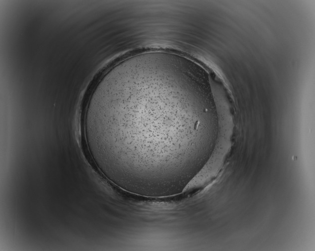 X0000089700984200707121351