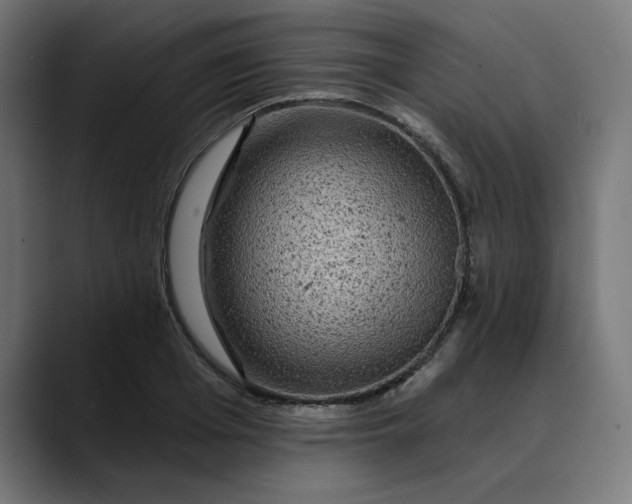 X0000089700985200707121351