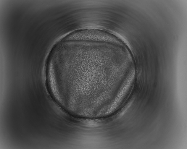 X0000089700987200707121351