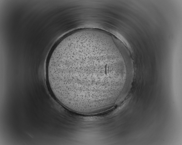 X0000089700988200707121351