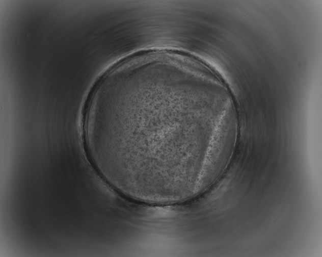 X0000089700990200707121351