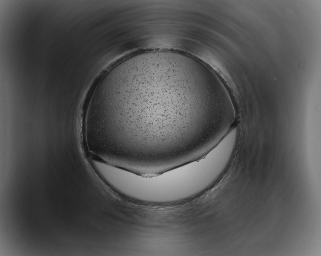 X0000089700992200707121351