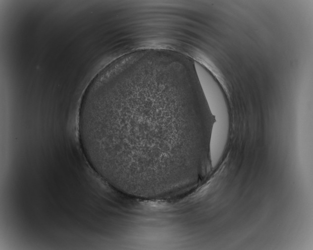 X0000089700994200707121351