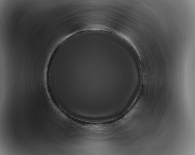 X0000089700995200707121351