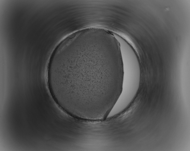 X0000089700999200707121351