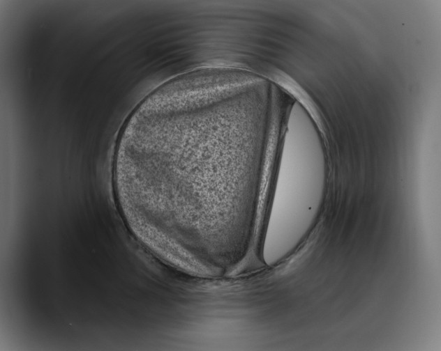 X0000089701002200707121351