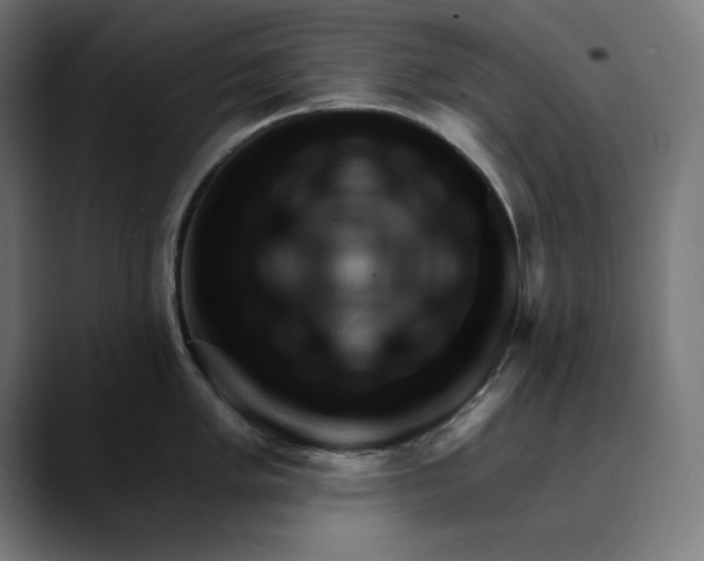 X0000089701005200707121350