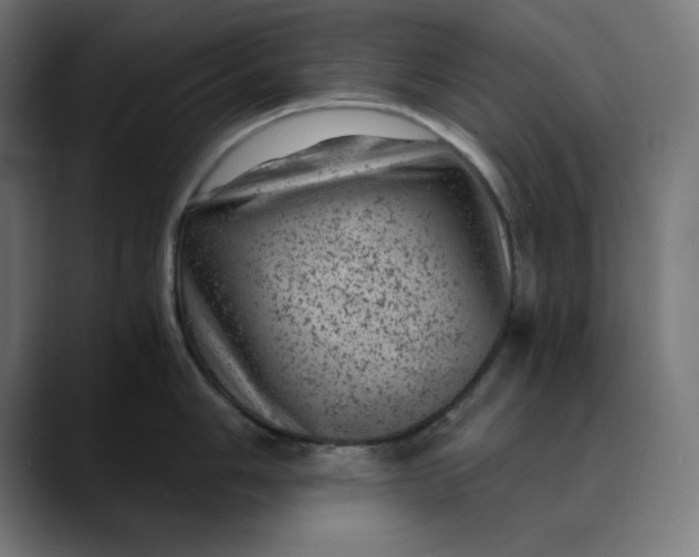 X0000089701006200707121350