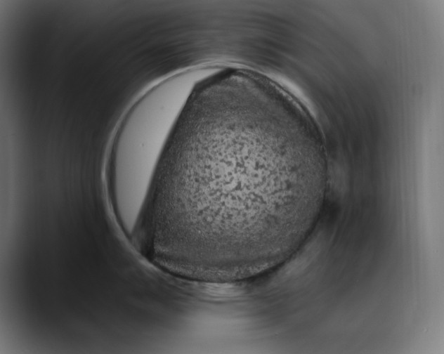 X0000089701007200707121350