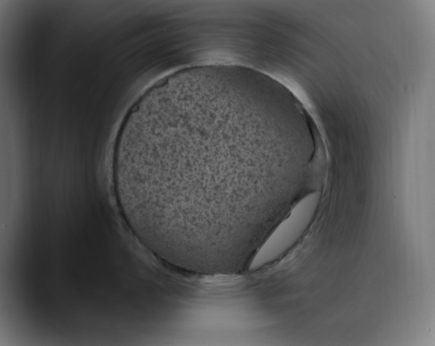 X0000089701008200707121350