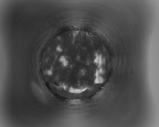 X0000089701009200707121350