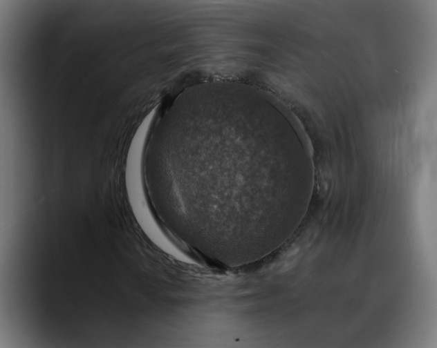 X0000089701010200707121350