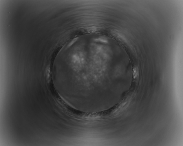 X0000089701011200707121350