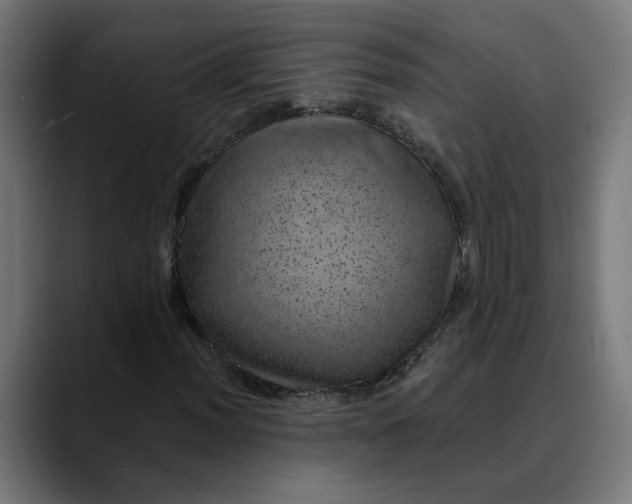 X0000089701012200707121350