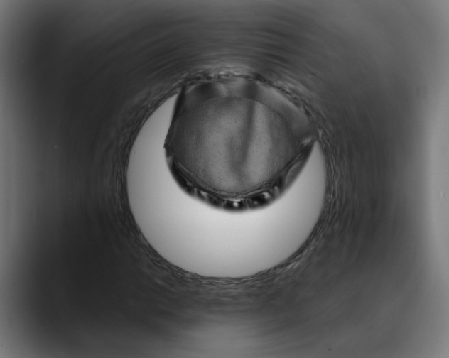 X0000089701014200707121350