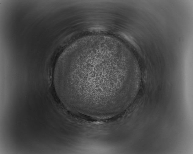 X0000089701015200707121350