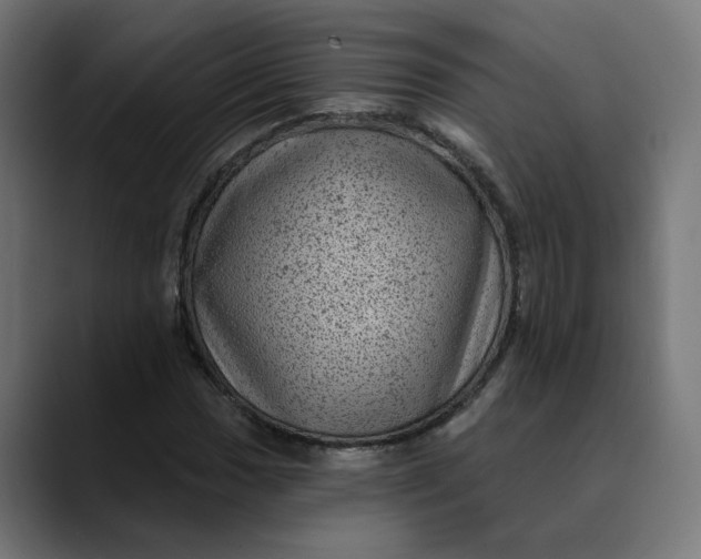 X0000089701017200707121350