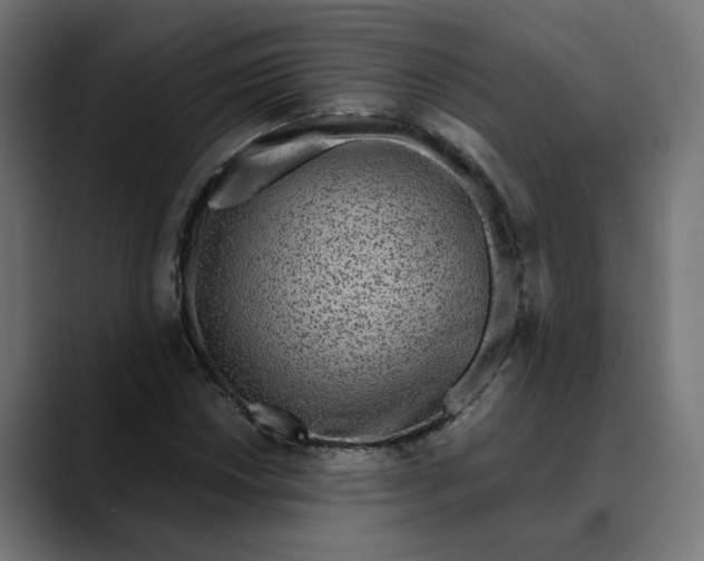 X0000089701018200707121350