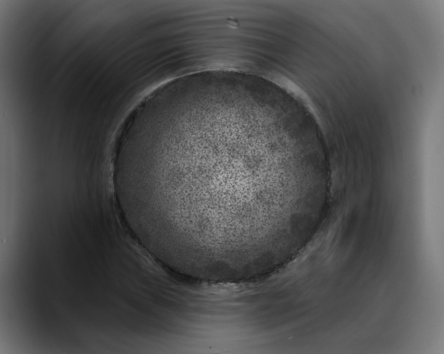 X0000089701019200707121350