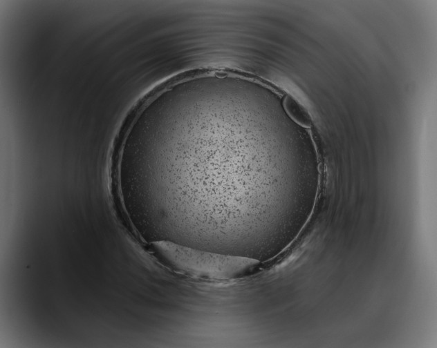 X0000089701020200707121350