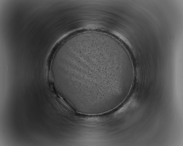 X0000089701021200707121350