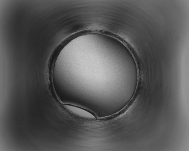 X0000089701022200707121350