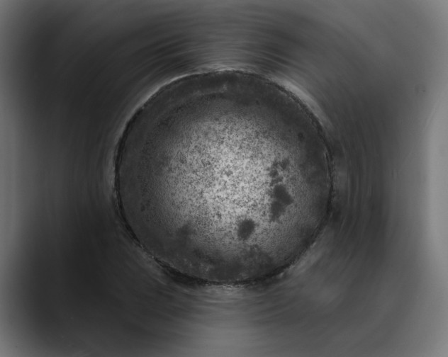 X0000089701023200707121350