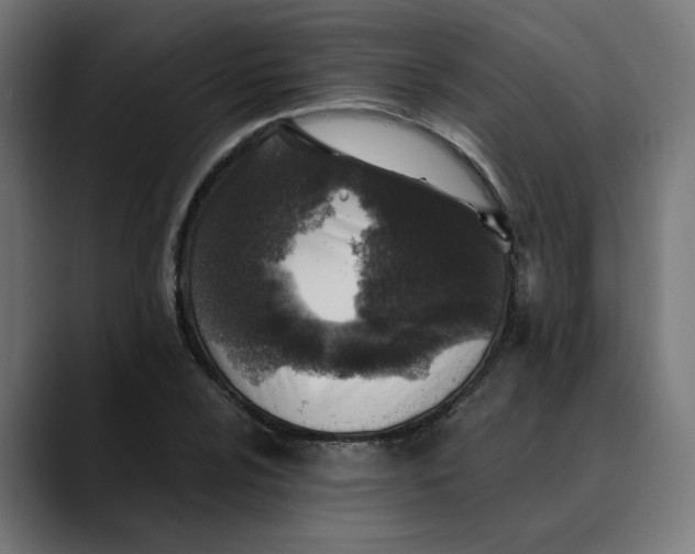 X0000089701024200707121350