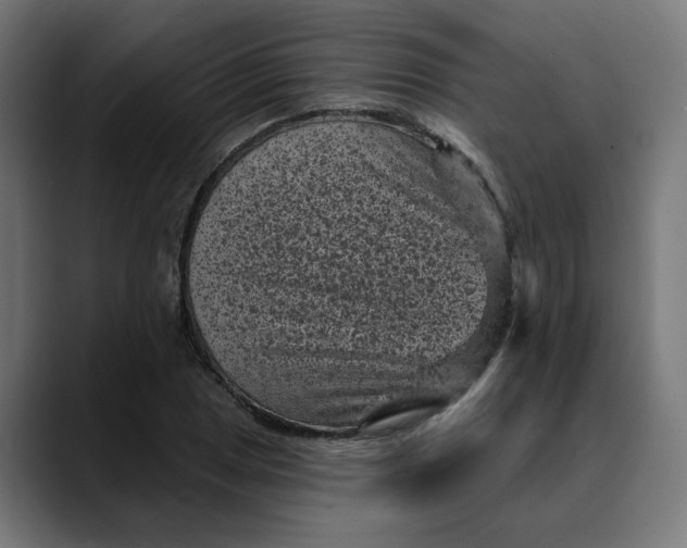 X0000089701025200707121350