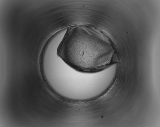 X0000089701026200707121350