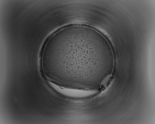 X0000089701029200707121350