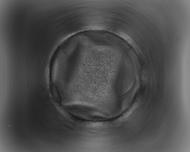 X0000089701030200707121350