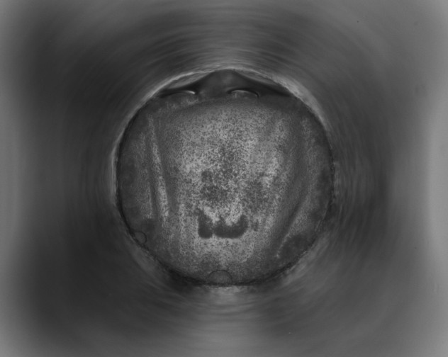 X0000089701031200707121350