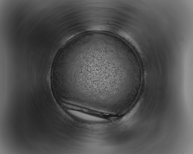 X0000089701033200707121350