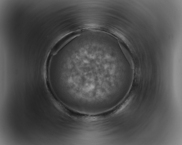 X0000089701034200707121350