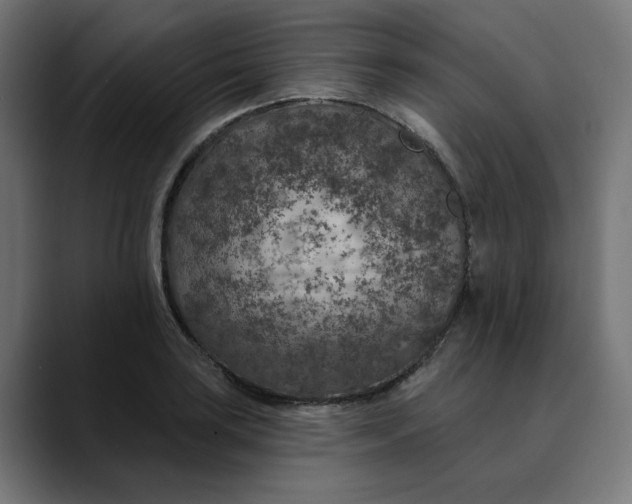 X0000089701035200707121350