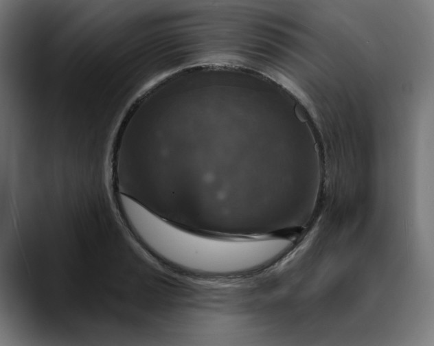 X0000089701037200707121350