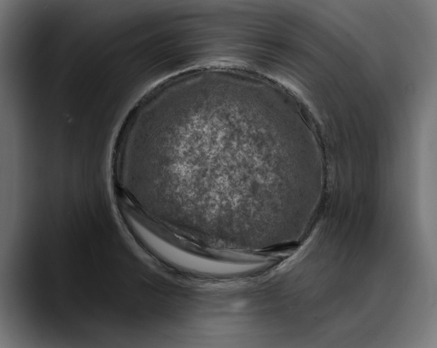 X0000089701038200707121350