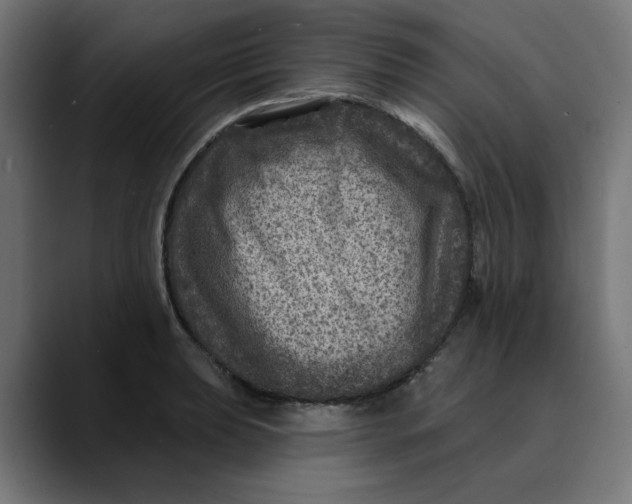 X0000089701039200707121350