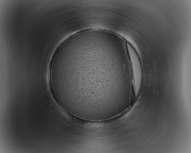 X0000089701040200707121350