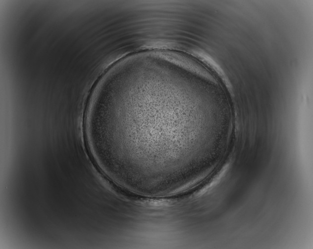 X0000089701041200707121350