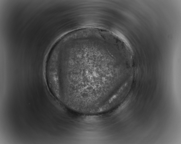 X0000089701043200707121350