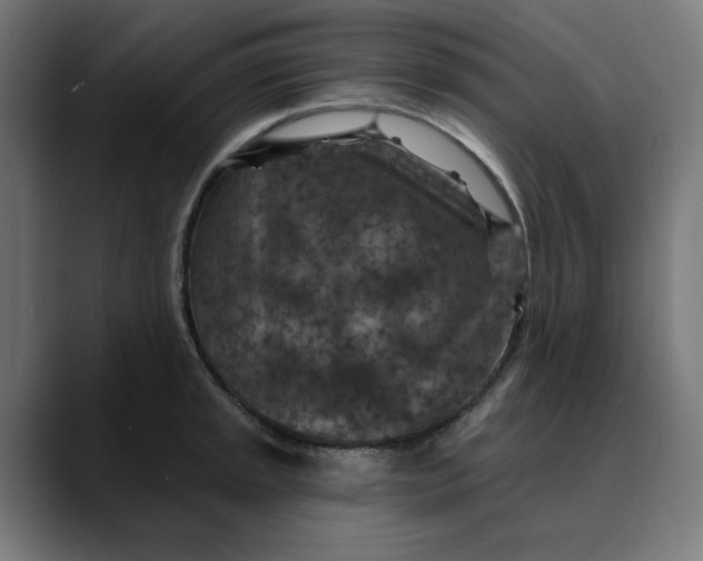 X0000089701045200707121350