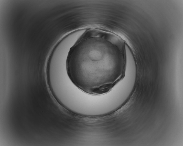 X0000089701046200707121350