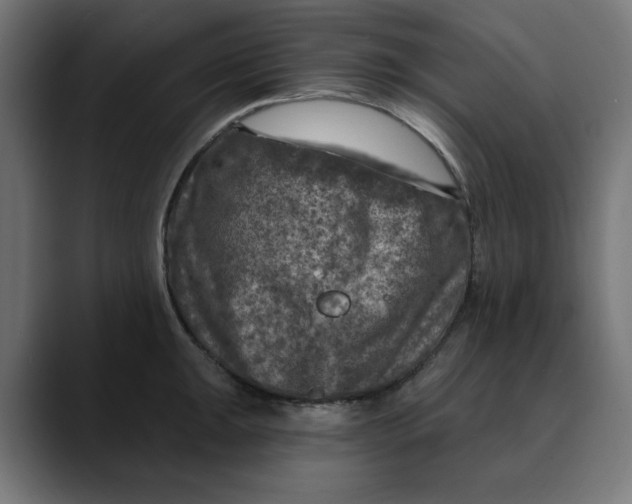 X0000089701047200707121350