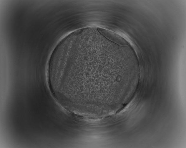 X0000089701048200707121350