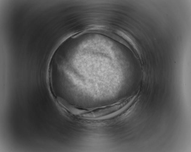 X0000089701050200707121350