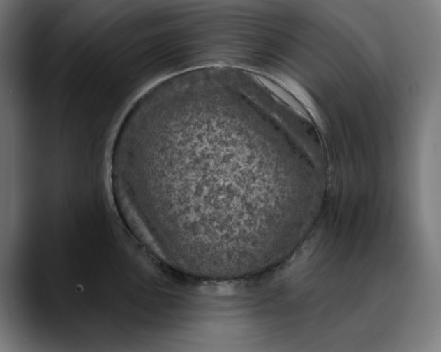 X0000089701051200707121350