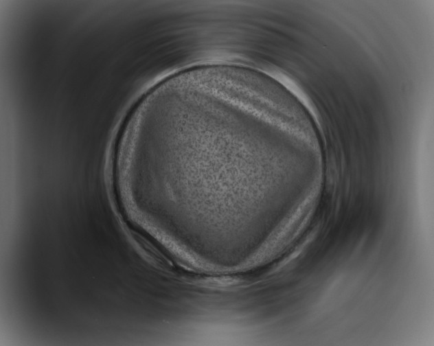 X0000089701053200707121350