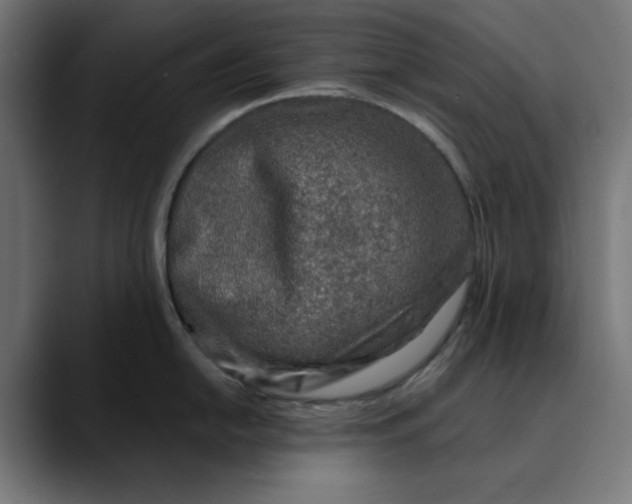 X0000089701054200707121350